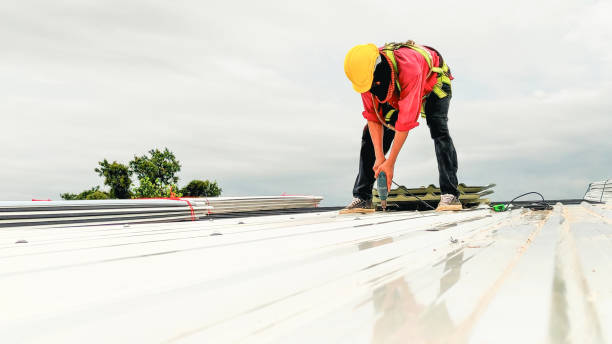 Best Storm Damage Roof Repair  in Lakeview, GA